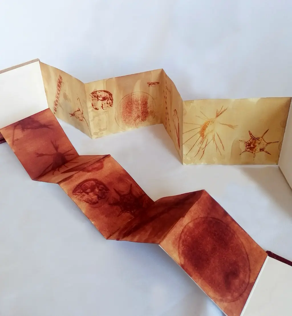 Accordion-style artwork featuring sepia-toned star-like sketches on yellowed paper. The folds create a zigzag pattern, evoking an artistic and historical feel.